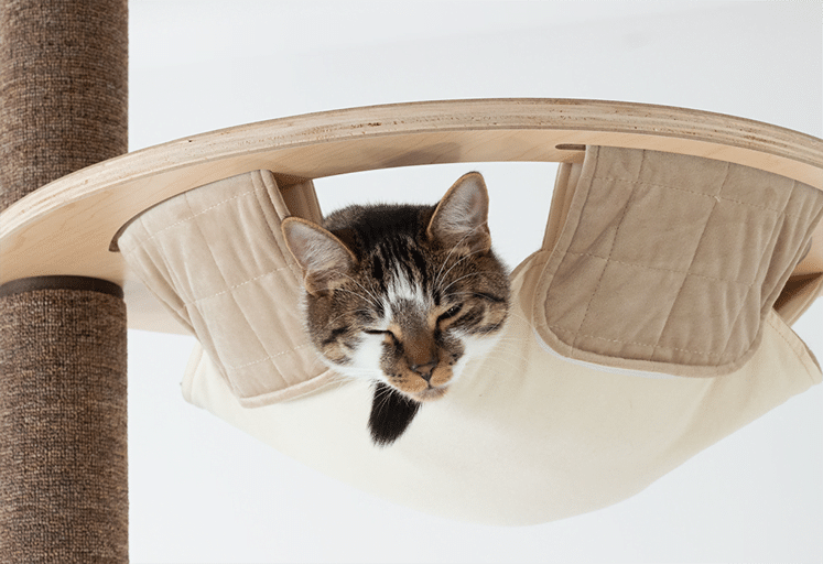 Tabby cat lounging in a beige hammock attached to a wooden cat tree, eyes closed, appearing relaxed and comfortable.