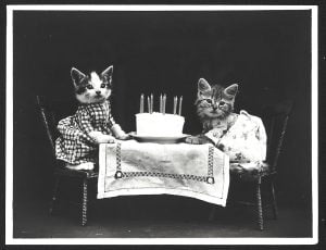 vintage kitten birthday party with cake, candles, and table set, in black and white