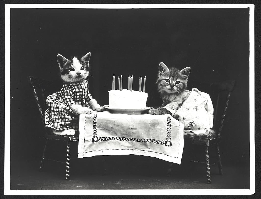 vintage kitten birthday party with cake, candles, and table set, in black and white