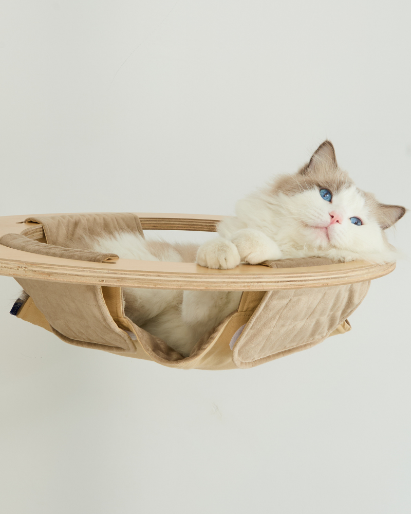 microsuede light hammock with cat
